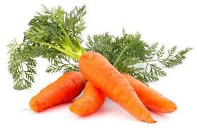 Carrots