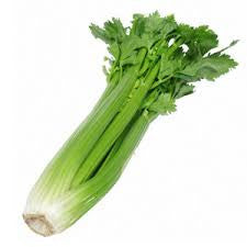 Celery